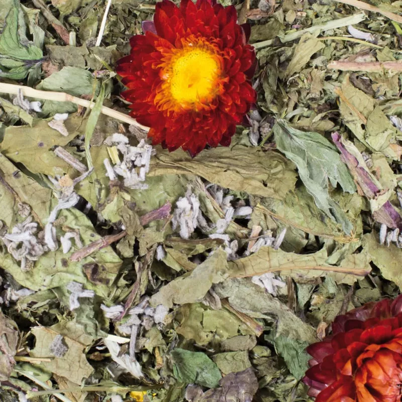 JR Grainless Plus Salbei & Löwenzahn 100 g